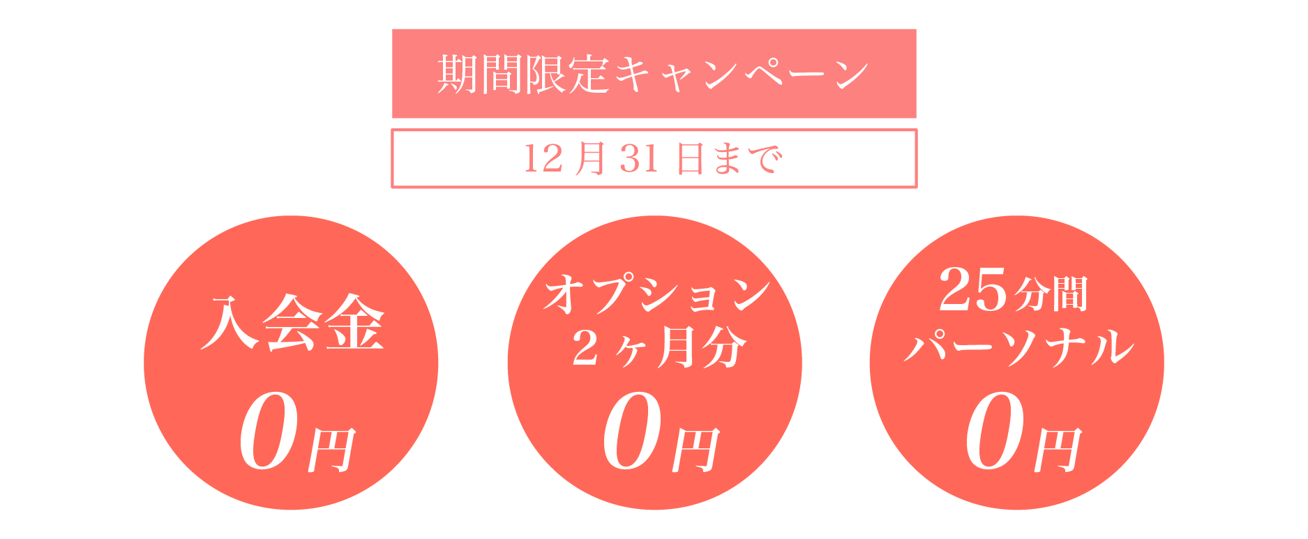 11月の特別キャンペーン！