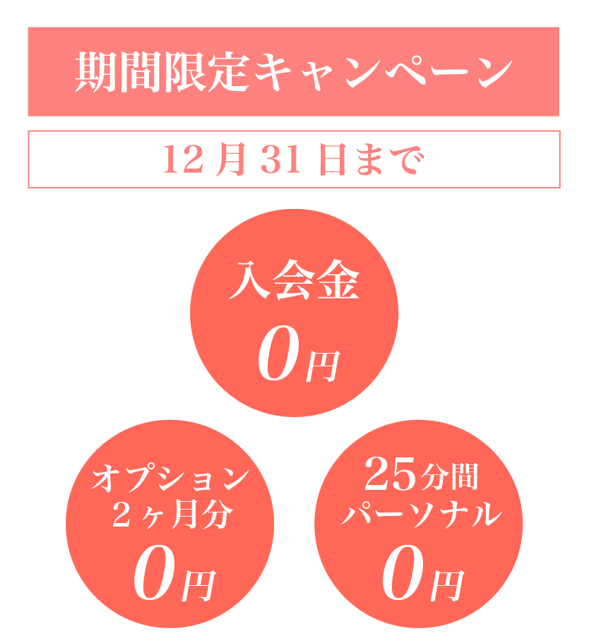 11月の特別キャンペーン！