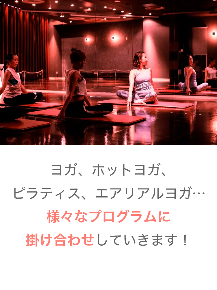 コラーゲンライト写真１