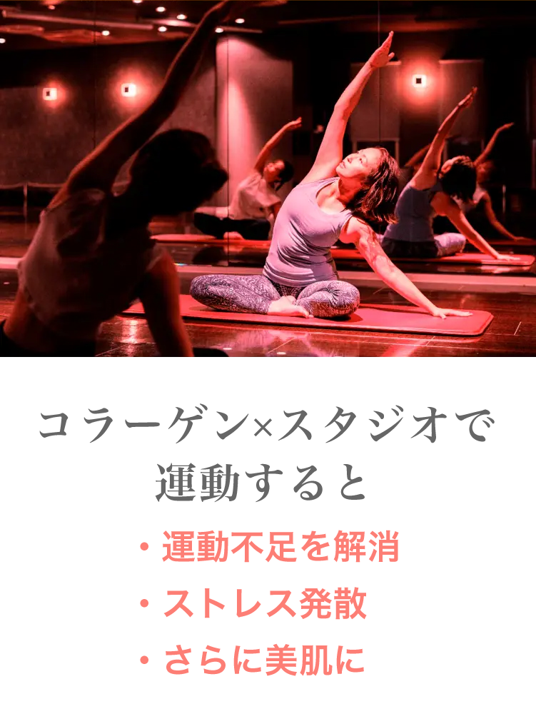 コラーゲンライト写真３