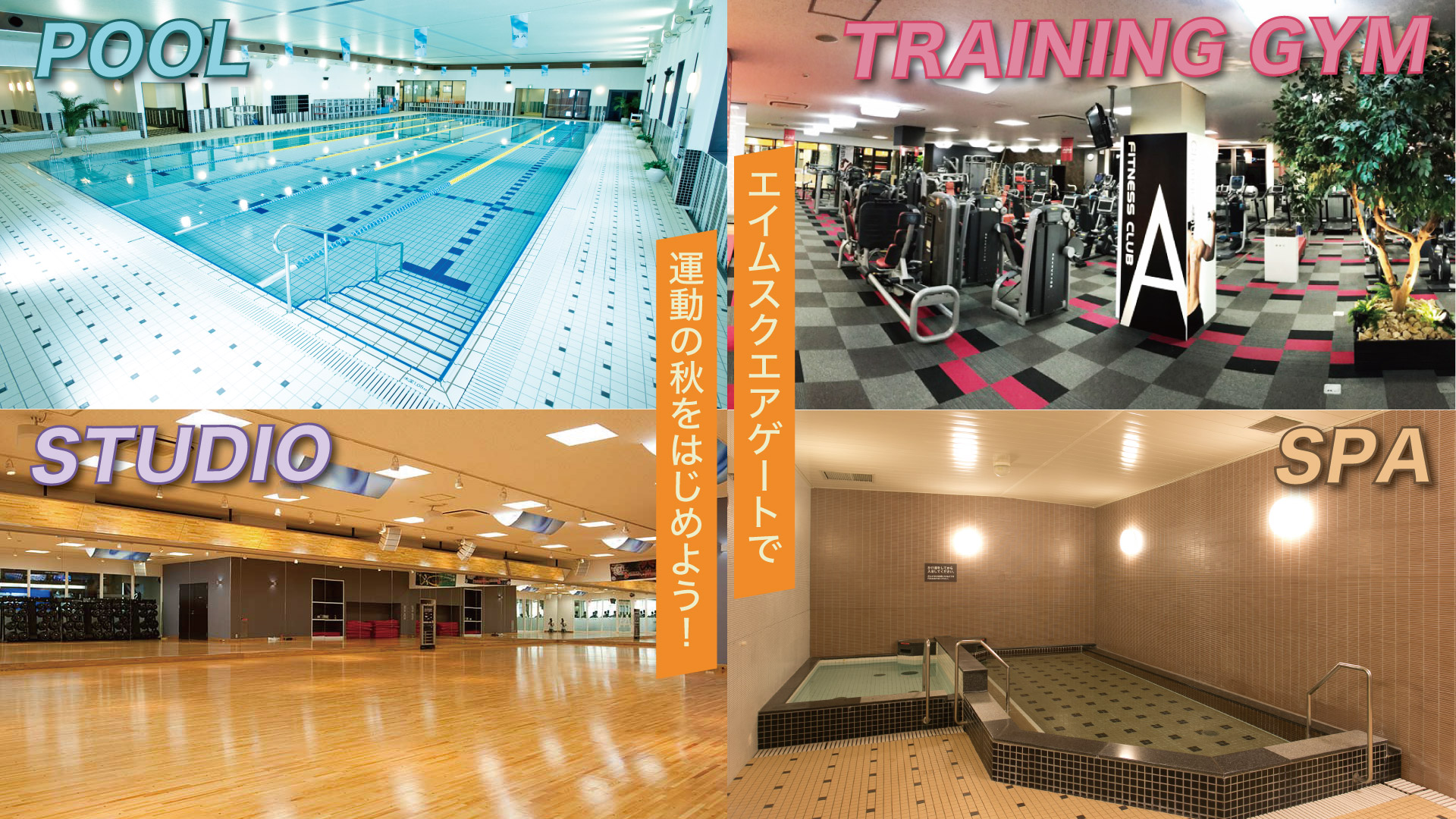 運動の秋はスクエアゲートで!